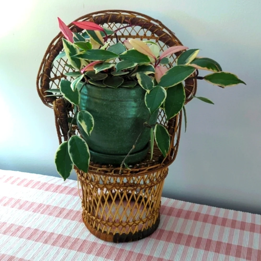 Vintage Wicker Plant Chair Stand - Picture 2 of 7